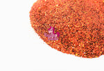 Razzle Dazzle Moulin Rouge Glitter- Craft Glitter, Resin Glitter Multi-Purpose, For Tumbler, for Silicone Molds, Sparkle Cosmetic Glitter for Nails Body Face Eye Makeup