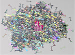 Silver Holographic Bones