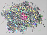 Silver Holographic Bones