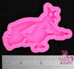 Witch on Broom Mold